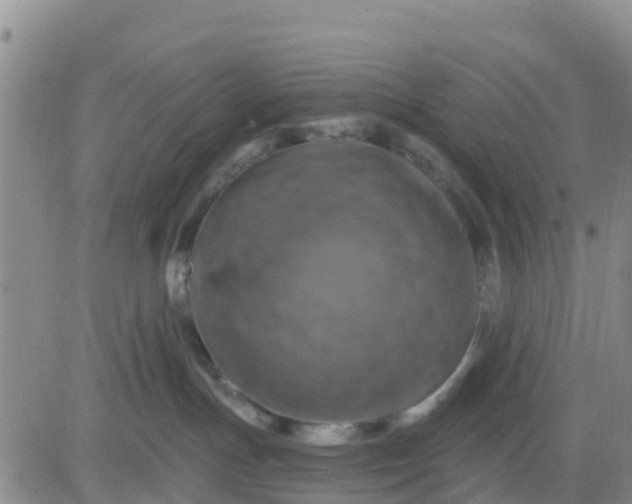 X0000080690191200612301458