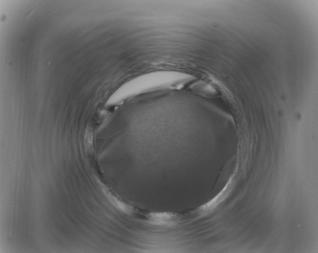 X0000080690192200612301459