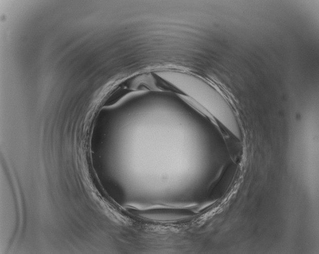 X0000080690193200612301458