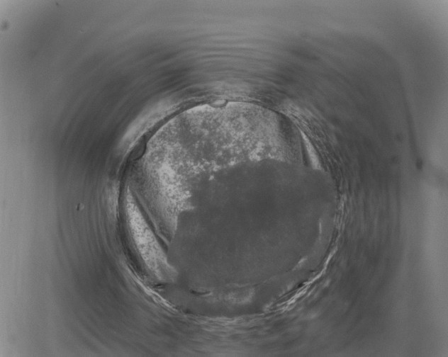 X0000080690194200612301458