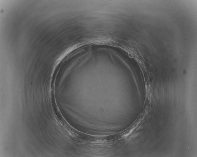 X0000080690196200612301458