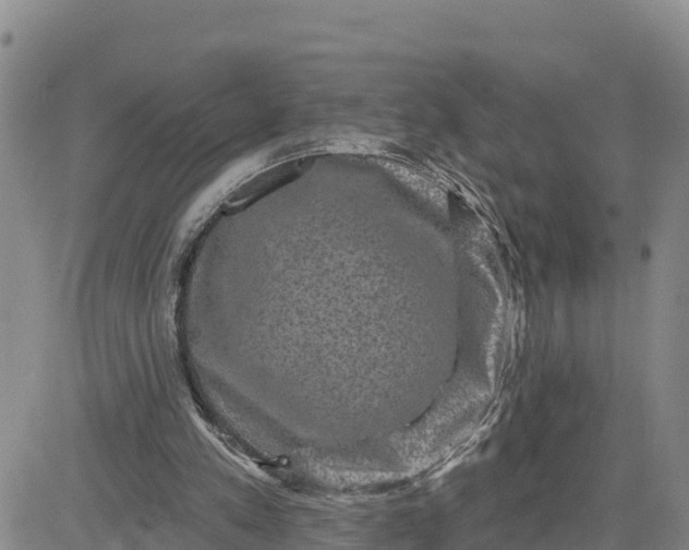 X0000080690197200612301458