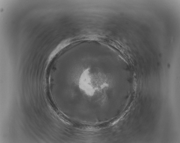 X0000080690198200612301458