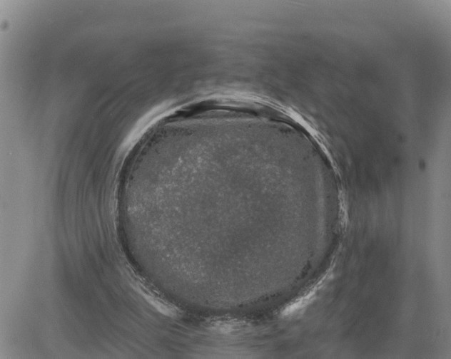 X0000080690199200612301458