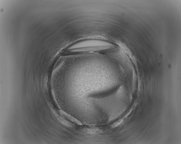 X0000080690201200612301458