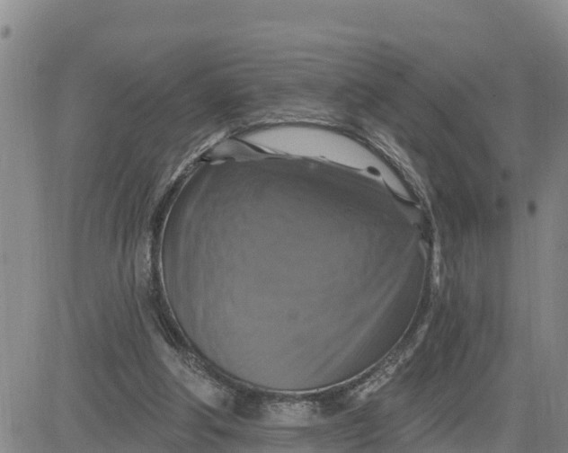 X0000080690202200612301458