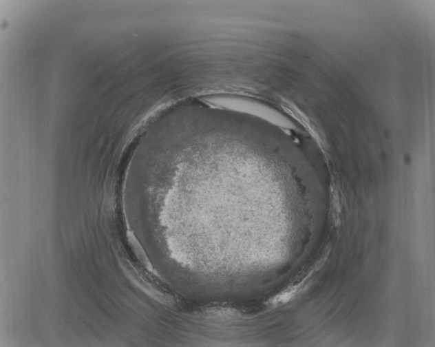 X0000080690203200612301458