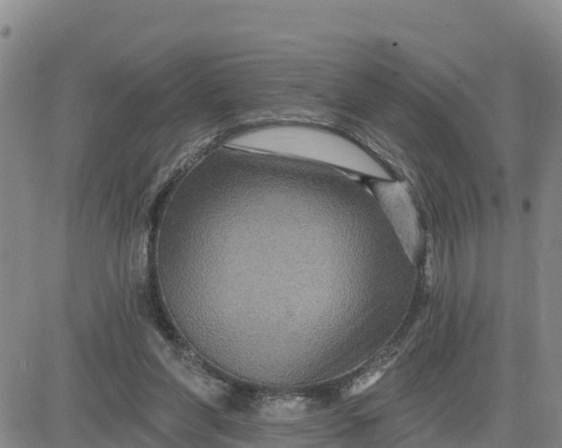 X0000080690206200612301458