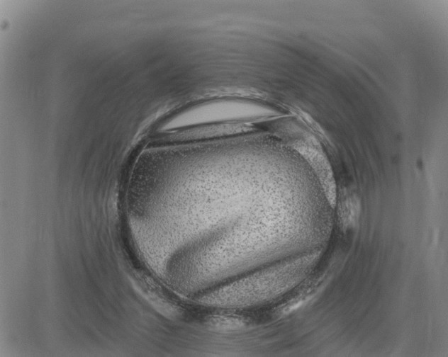 X0000080690207200612301458