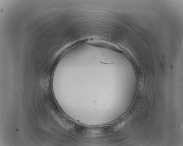 X0000080690208200612301457