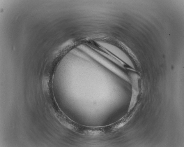 X0000080690209200612301457