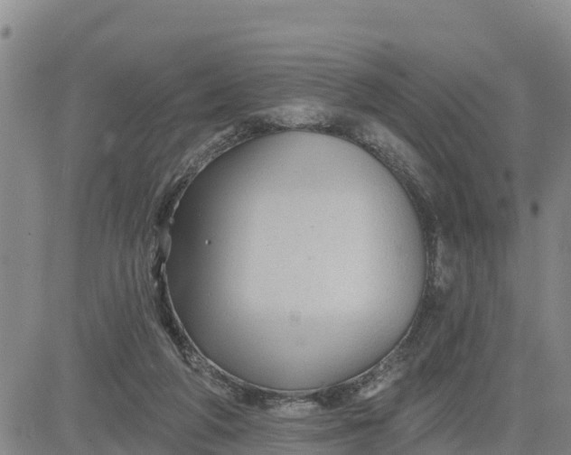 X0000080690210200612301457