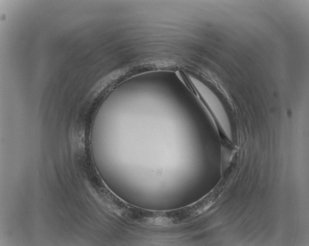 X0000080690212200612301457