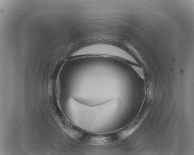 X0000080690213200612301457