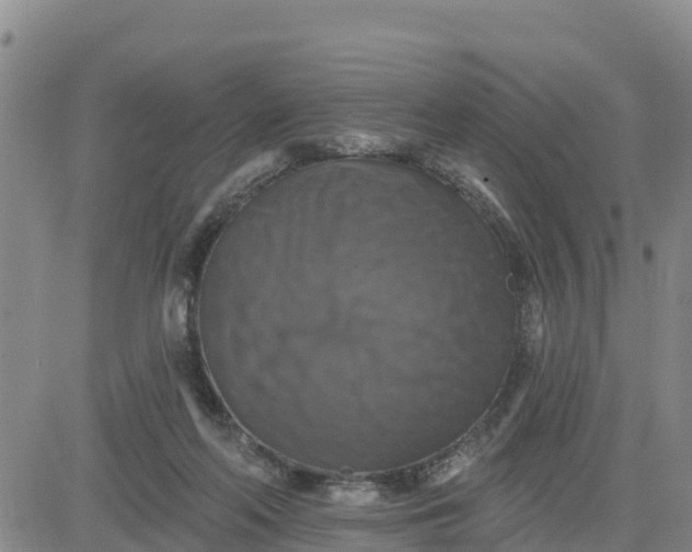 X0000080690214200612301457