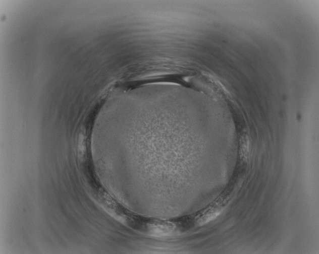 X0000080690215200612301457