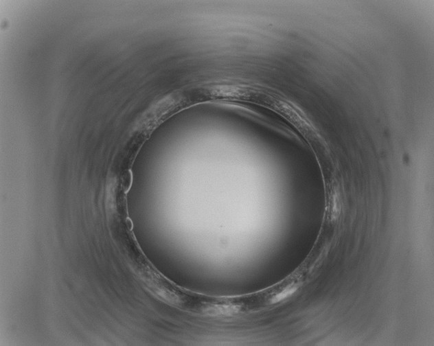 X0000080690217200612301457