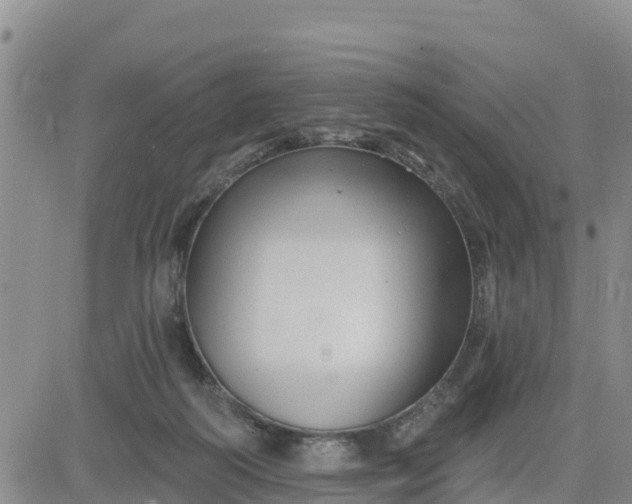 X0000080690218200612301457