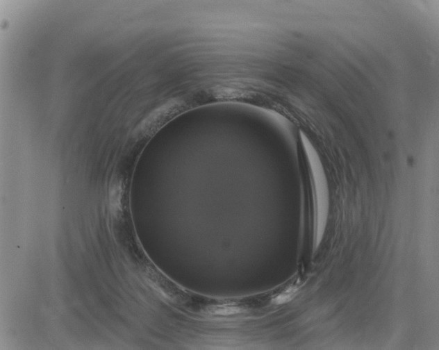 X0000080690219200612301457