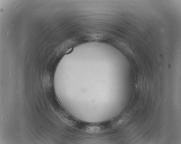 X0000080690220200612301457