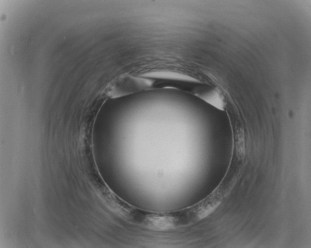 X0000080690221200612301457