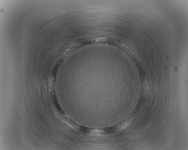 X0000080690222200612301457