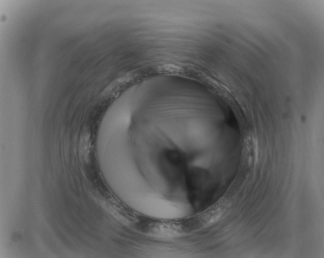 X0000080690223200612301457