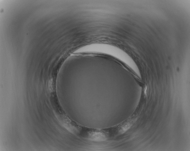 X0000080690224200612301457