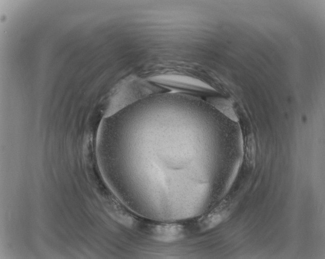 X0000080690225200612301457