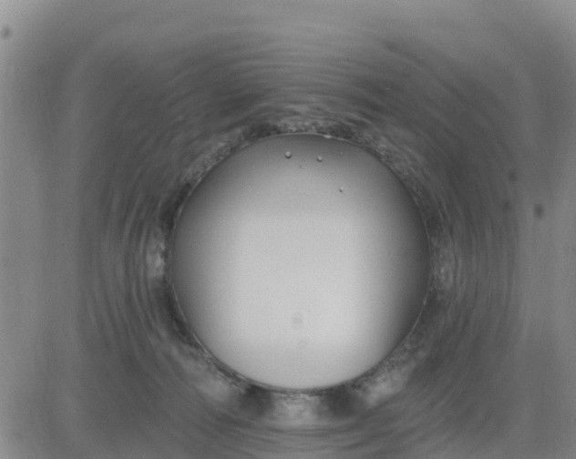 X0000080690226200612301457