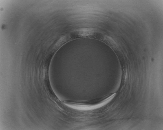 X0000080690227200612301457