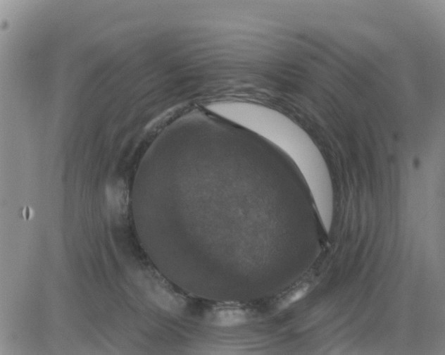 X0000080690228200612301457