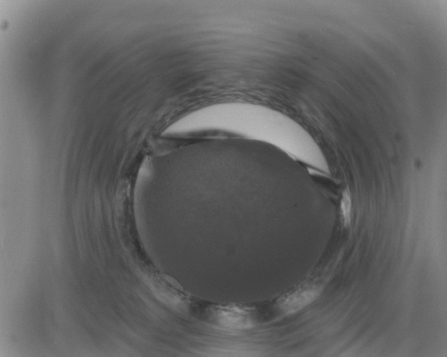 X0000080690229200612301457