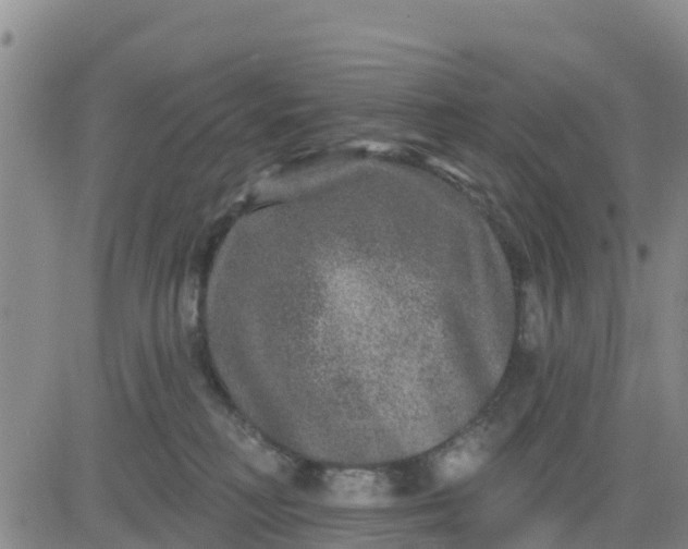 X0000080690230200612301457