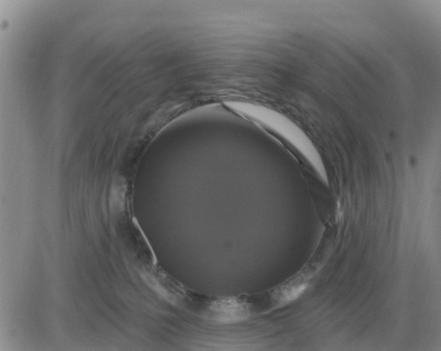 X0000080690231200612301457