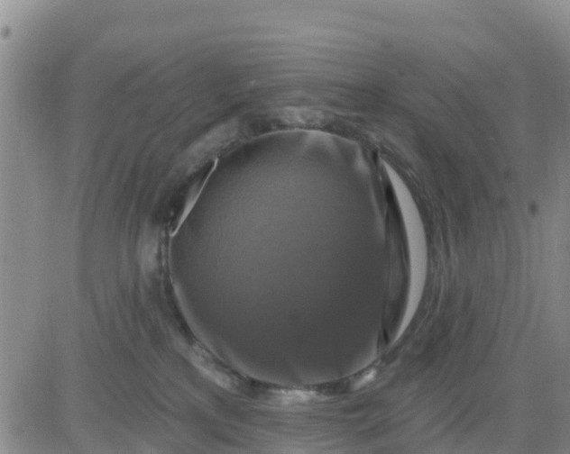 X0000080690233200612301457