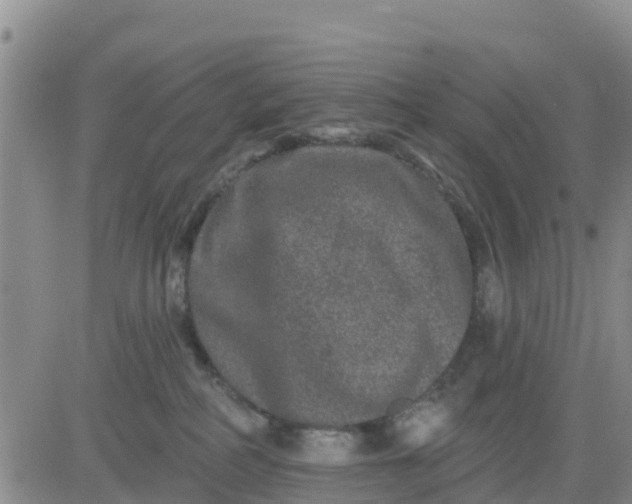 X0000080690234200612301457