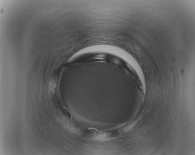 X0000080690235200612301457