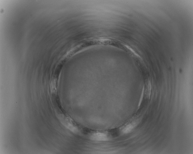 X0000080690236200612301457