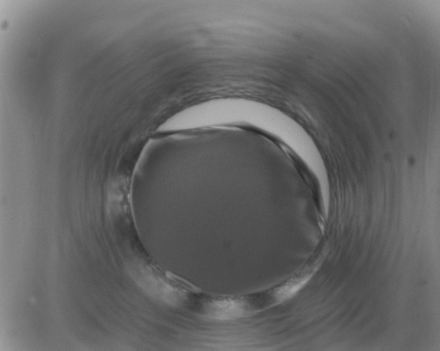 X0000080690237200612301457