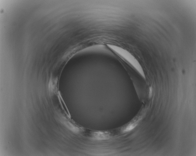 X0000080690239200612301457