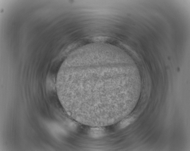 X0000080690240200612301457