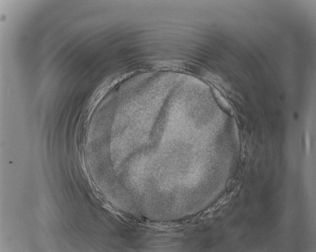 X0000080690241200612301456