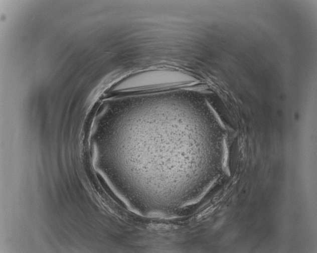 X0000080690242200612301456