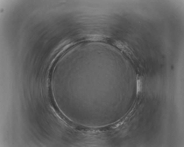 X0000080690243200612301456