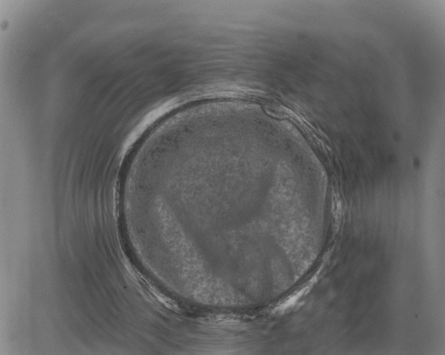 X0000080690244200612301456