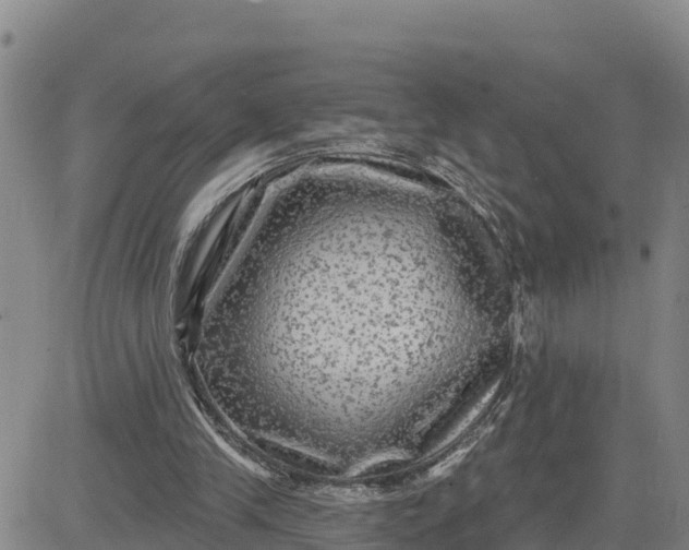 X0000080690245200612301456