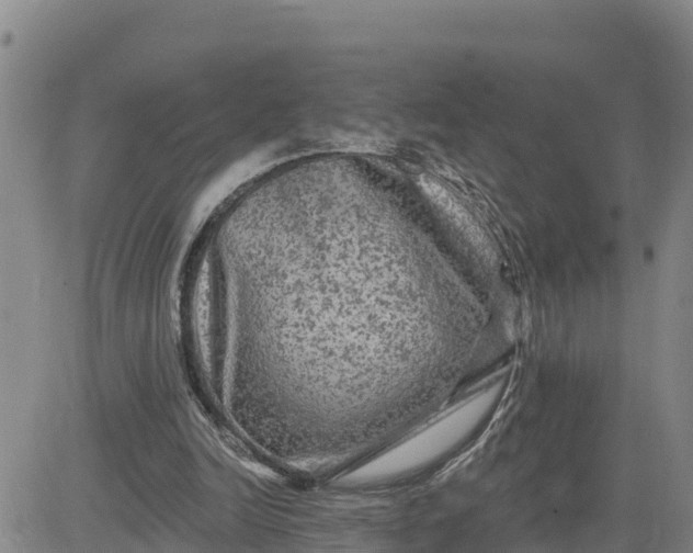 X0000080690246200612301456