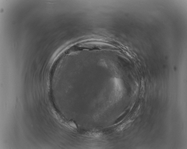 X0000080690247200612301456