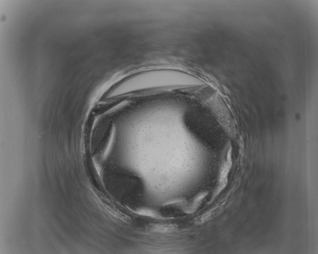 X0000080690248200612301456